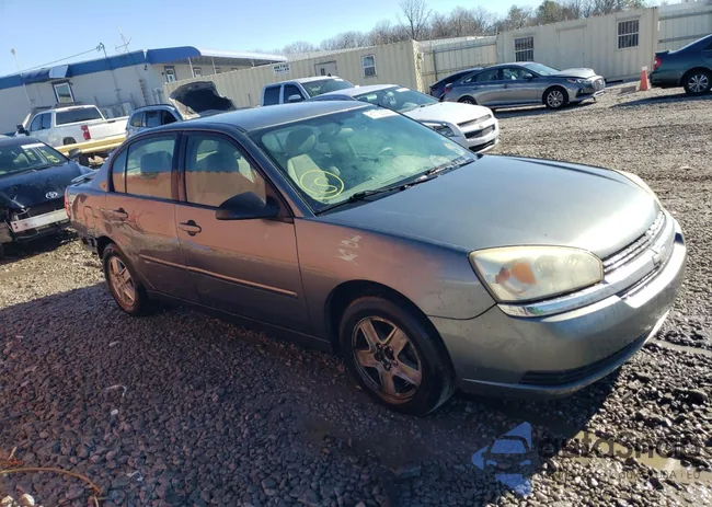 1G1ZT54885F230491: 81123553