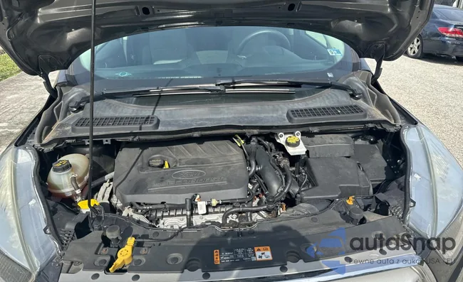 1FMCU9GD8JUA15205: 79484453