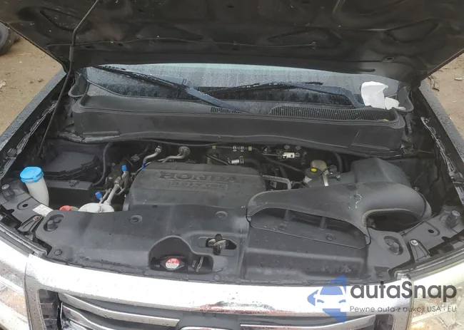 5FNYF4H99CB081453: 81937723