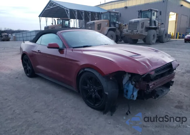 1FATP8UHXJ5165989: 81217453