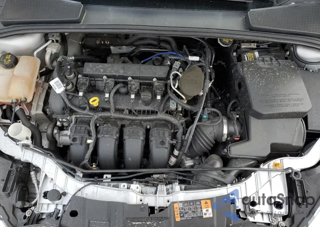 1FADP3F28GL312315: 80746143