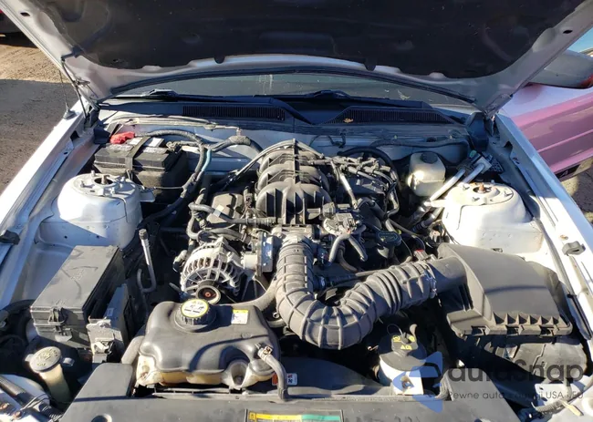 1ZVFT84N175359325: 80281953