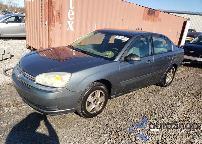 1G1ZT54885F230491: 81123553