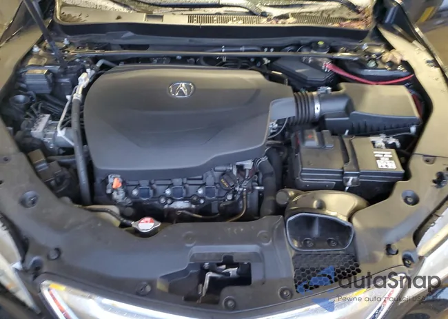 19UUB2F52HA004892: 82384193