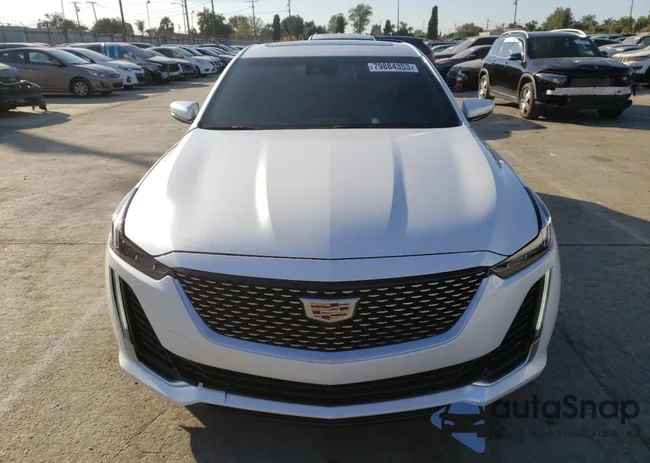 1G6DW5RK0M0117250: 79884353