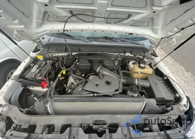 1FDBF2A61CEA29662: 81362603