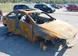 3VWDB7AJ6HM365882 40561913